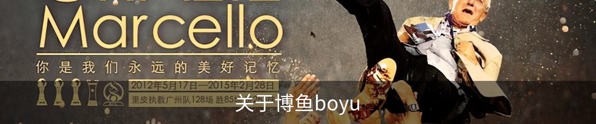 关于博鱼boyu